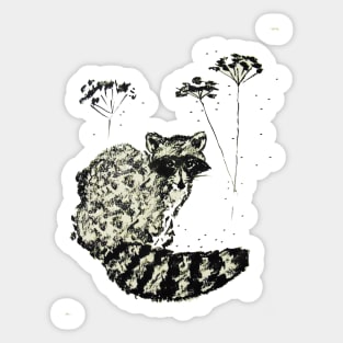 Raccoon Sticker